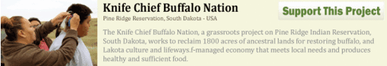 Knife Chief Buffalo Nation Knife Chief Buffalo Nation