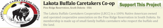 Lakota Buffalo Caretakers Co-op Lakota Buffalo Caretakers Co-op